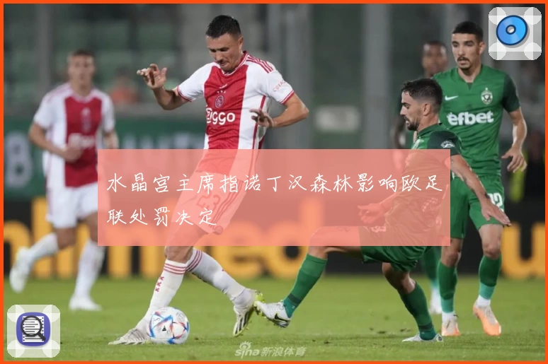 水晶宫主席指诺丁汉森林影响欧足联处罚决定