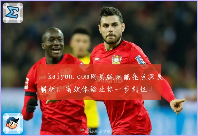 「kaiyun.com网页版功能亮点深度解析：高效体验让你一步到位」