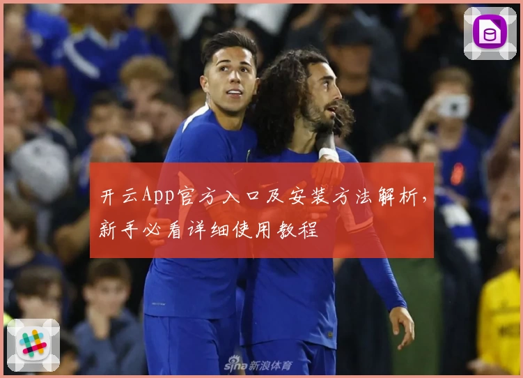 开云App官方入口及安装方法解析，新手必看详细使用教程